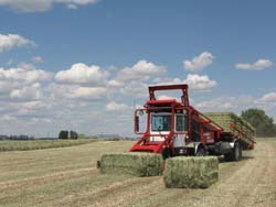 Washington Hay Growers